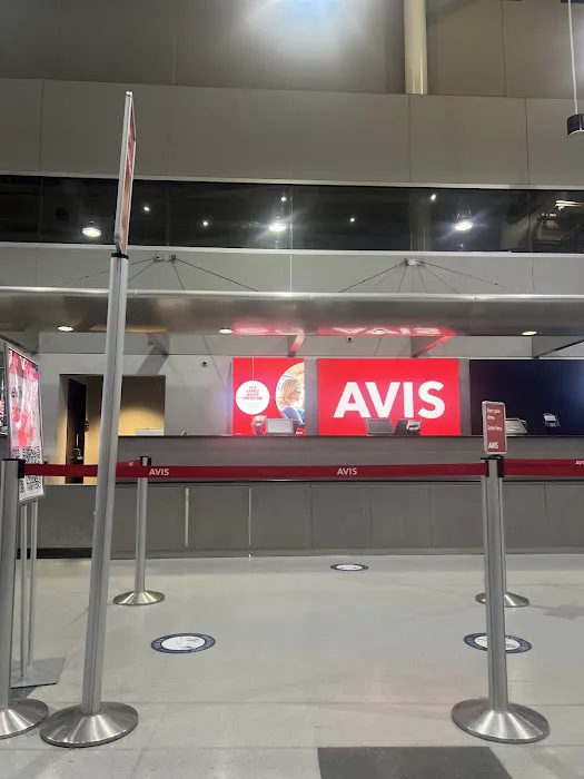 Avis Car Rental Picture 4