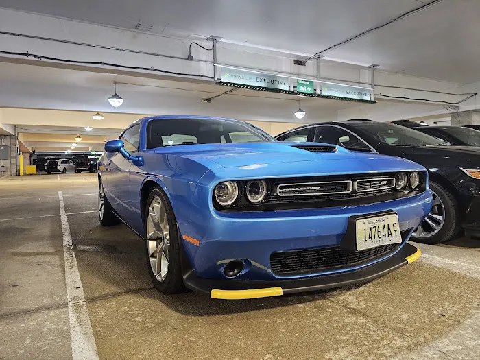 Alamo Rent A Car Picture 3