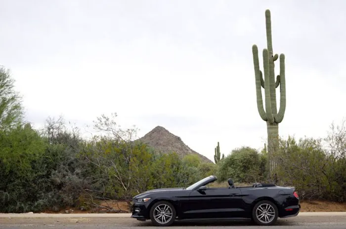 Budget Car Rental Picture 9