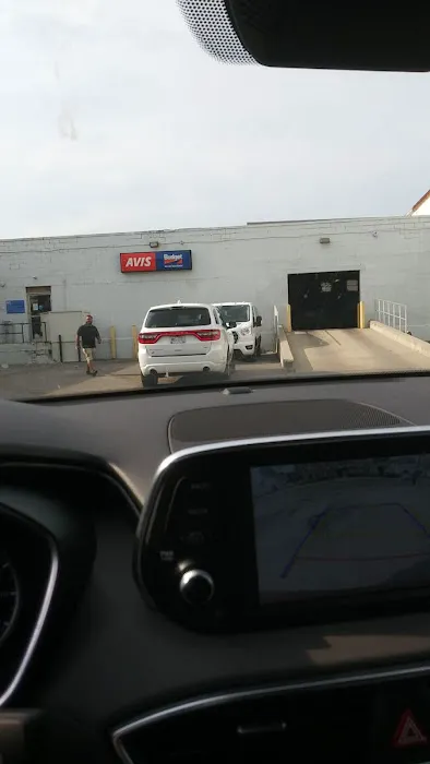 Avis Car Rental Picture 4