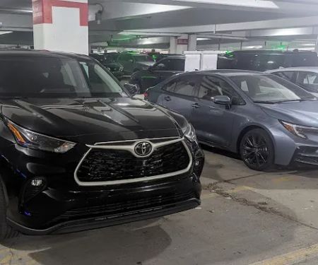 Avis Car Rental
