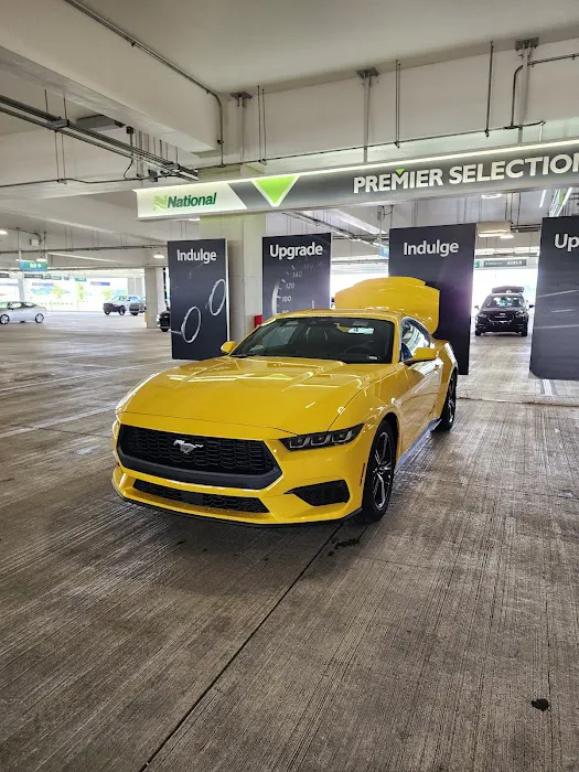 National Car Rental Picture 6