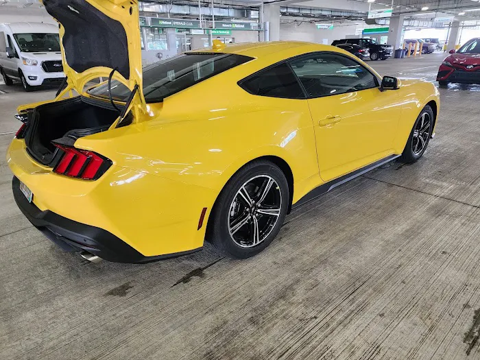 National Car Rental Picture 8