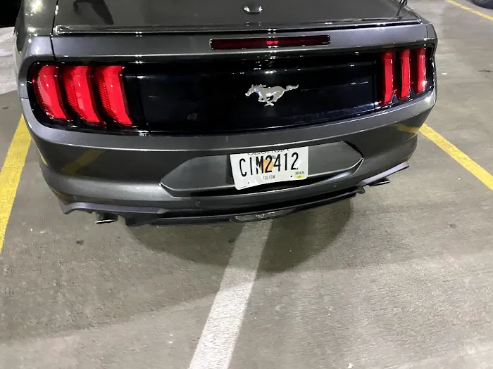 Alamo Rent A Car Picture 6