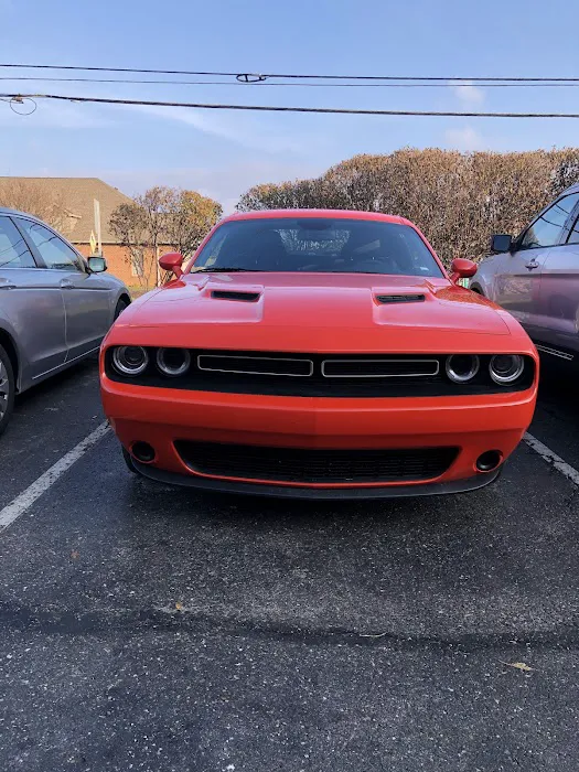 Alamo Rent A Car Picture 5
