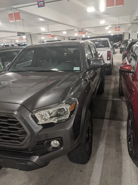 Budget Car Rental Picture 4