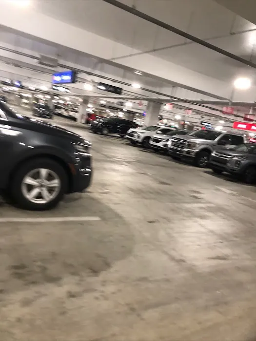 Budget Car Rental Picture 10