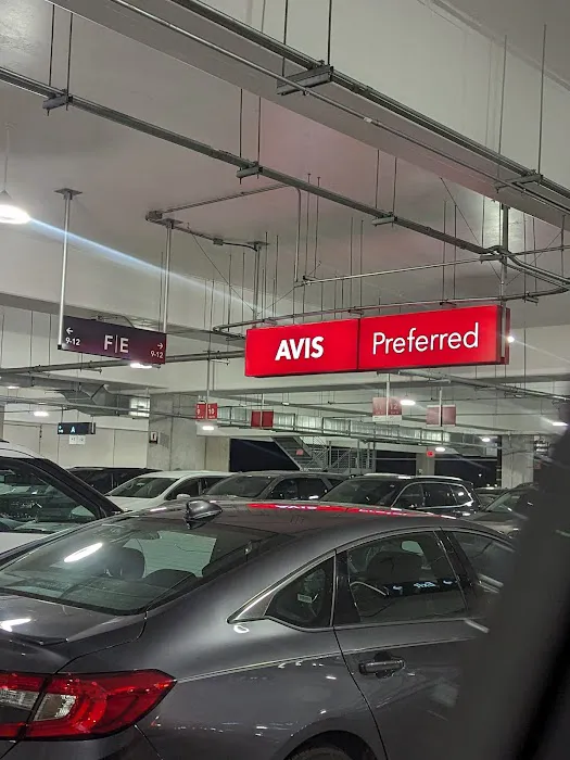 Avis Car Rental Picture 1