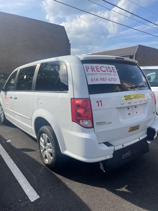 Precise Mobility Solutions, Inc Picture 4