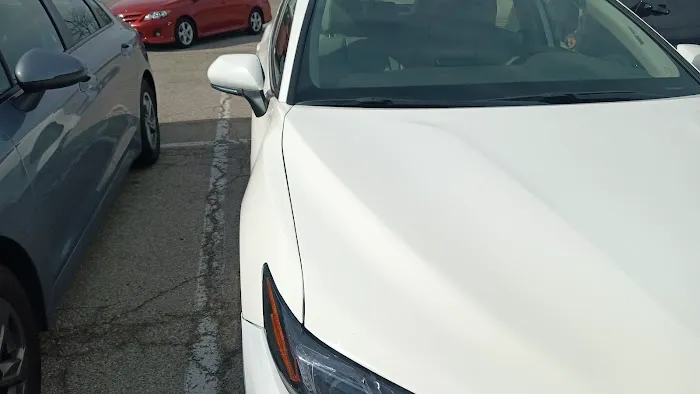 Avis Car Rental Picture 2