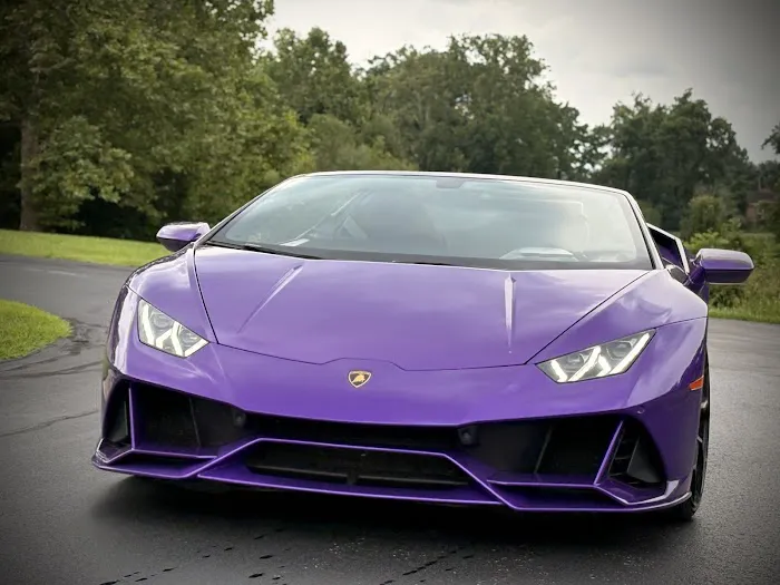 7th Gear Exotics Picture 5