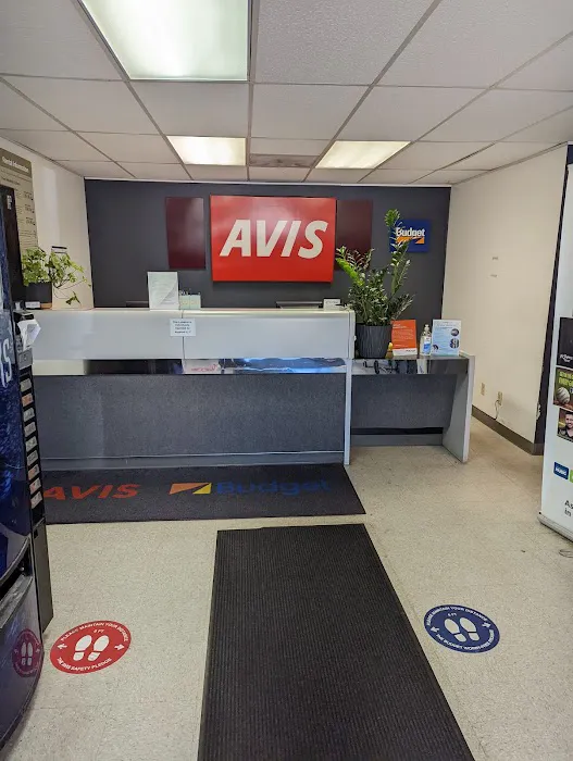 Avis Car Rental Picture 7