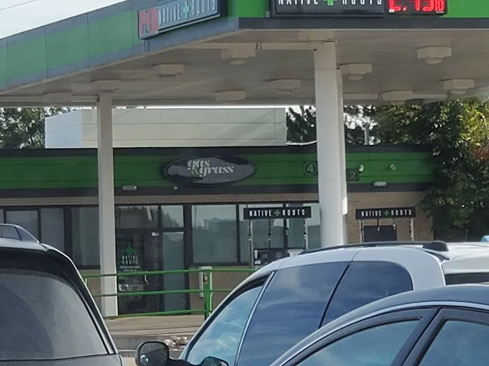 Enterprise Rent-A-Car Picture 7