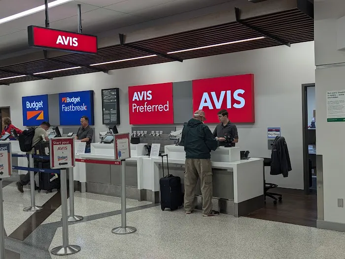 Avis Car Rental Picture 1