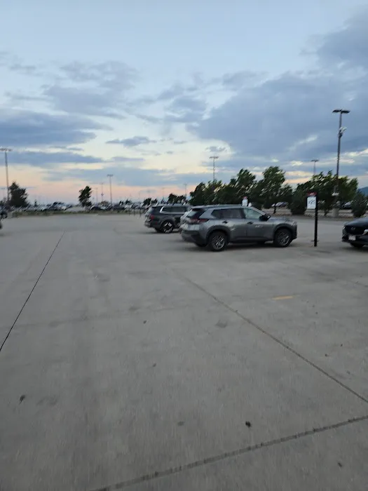 Budget Car Rental Picture 4