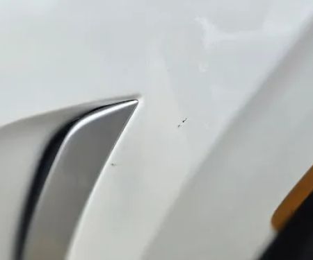 Dollar Car Rental