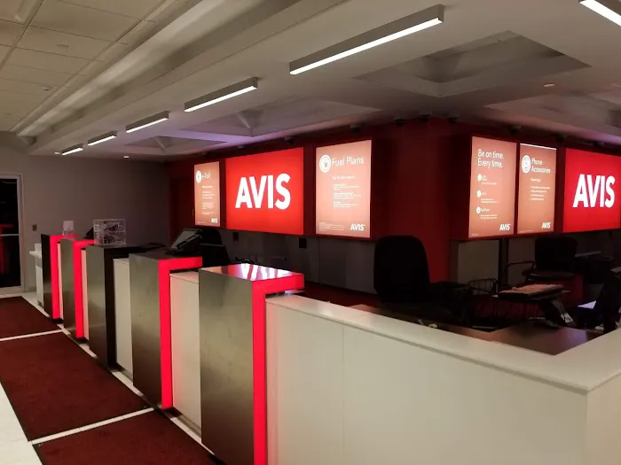 Avis Car Rental Picture 1