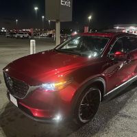 Payless Car Rental ico