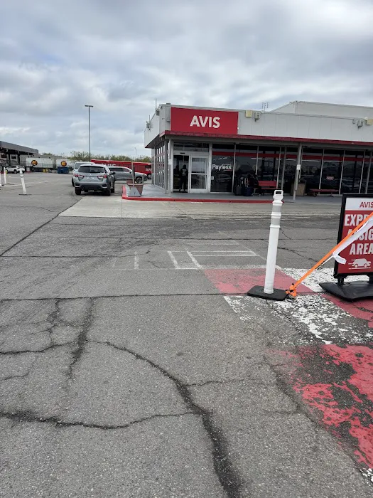 Payless Car Rental Picture 2