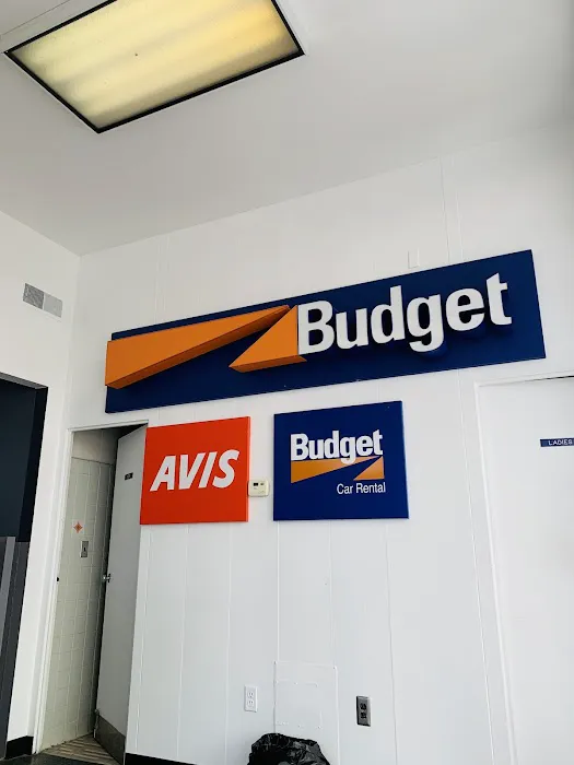 Avis Car Rental Picture 1
