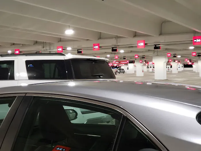Avis Car Rental Picture 9