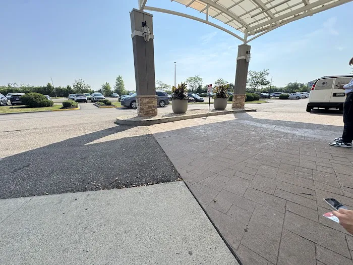 Avis Car Rental Picture 4