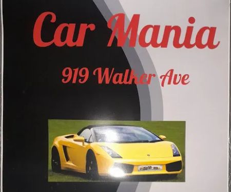 Car mania exports