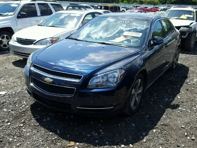 PENNY CAR RENTAL Picture 5
