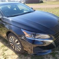 Alamo Rent A Car ico