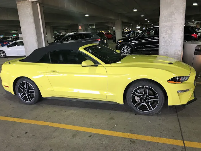 National Car Rental Picture 2
