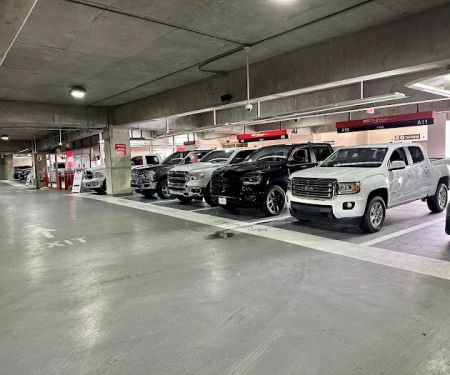 Avis Car Rental