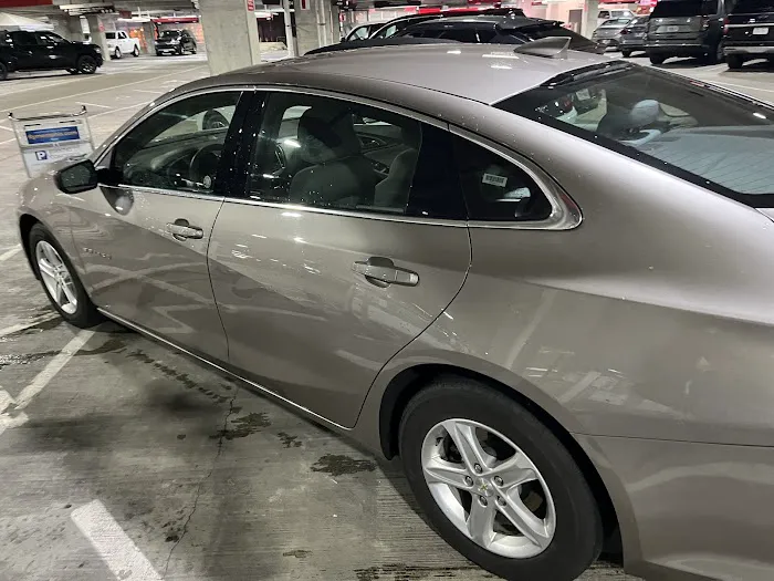Avis Car Rental Picture 10