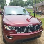 Avis Car Rental