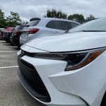 Avis Car Rental