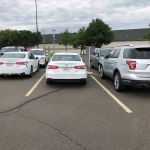 Avis Car Rental