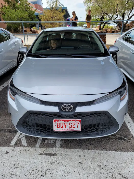 Budget Car Rental Picture 3