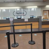 Payless Car Rental ico