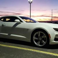 Alamo Rent A Car ico