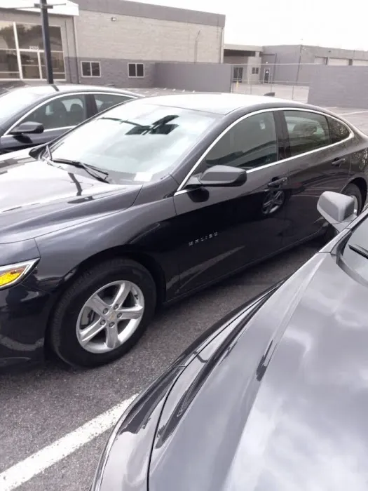Buggy Rideshare Rental - Las Vegas Picture 3
