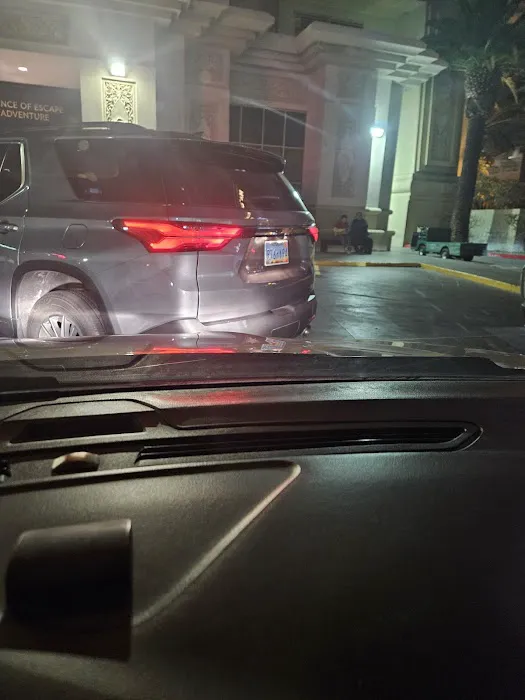 Buggy Rideshare Rental - Las Vegas Picture 7