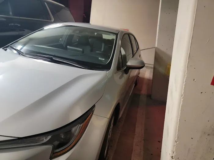 Avis Car Rental Picture 5