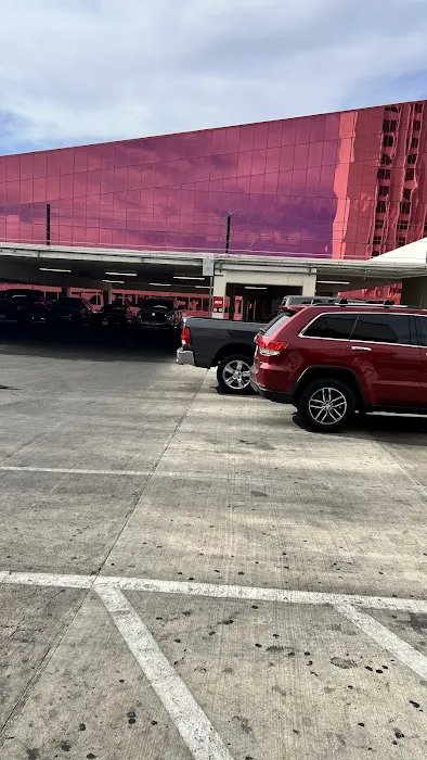 Avis Car Rental Picture 9