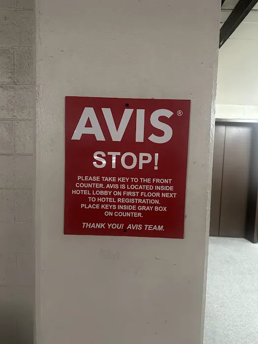 Avis Car Rental Picture 7