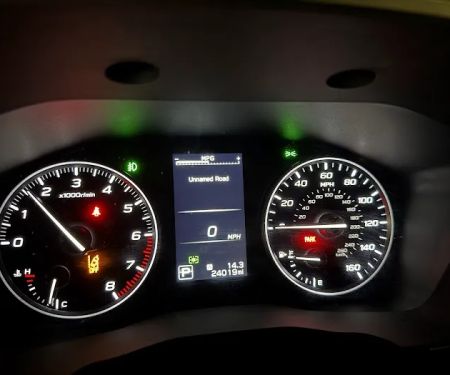 Avis Car Rental
