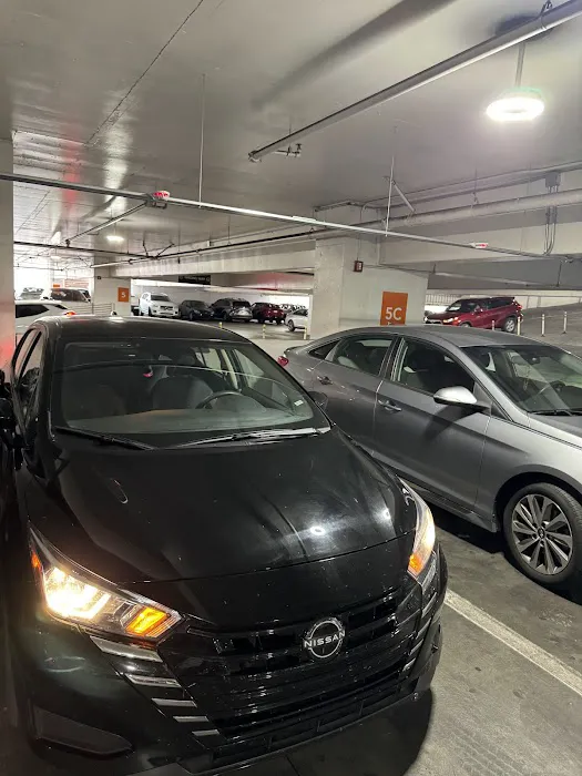 Avis Car Rental Picture 9