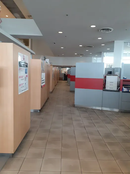 Budget Car Rental Picture 2