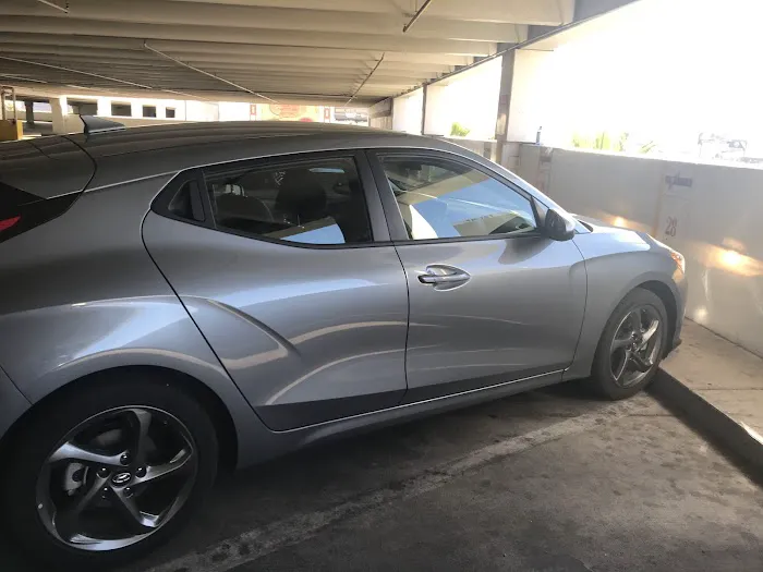 Dollar Car Rental Picture 1