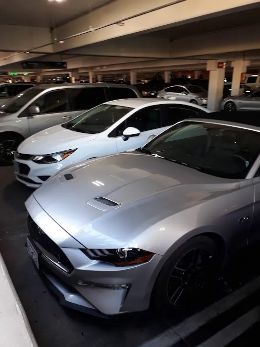 Avis Car Rental Picture 3