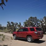 Avis Car Rental