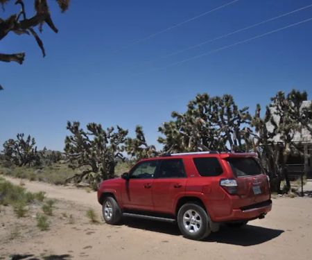 Avis Car Rental